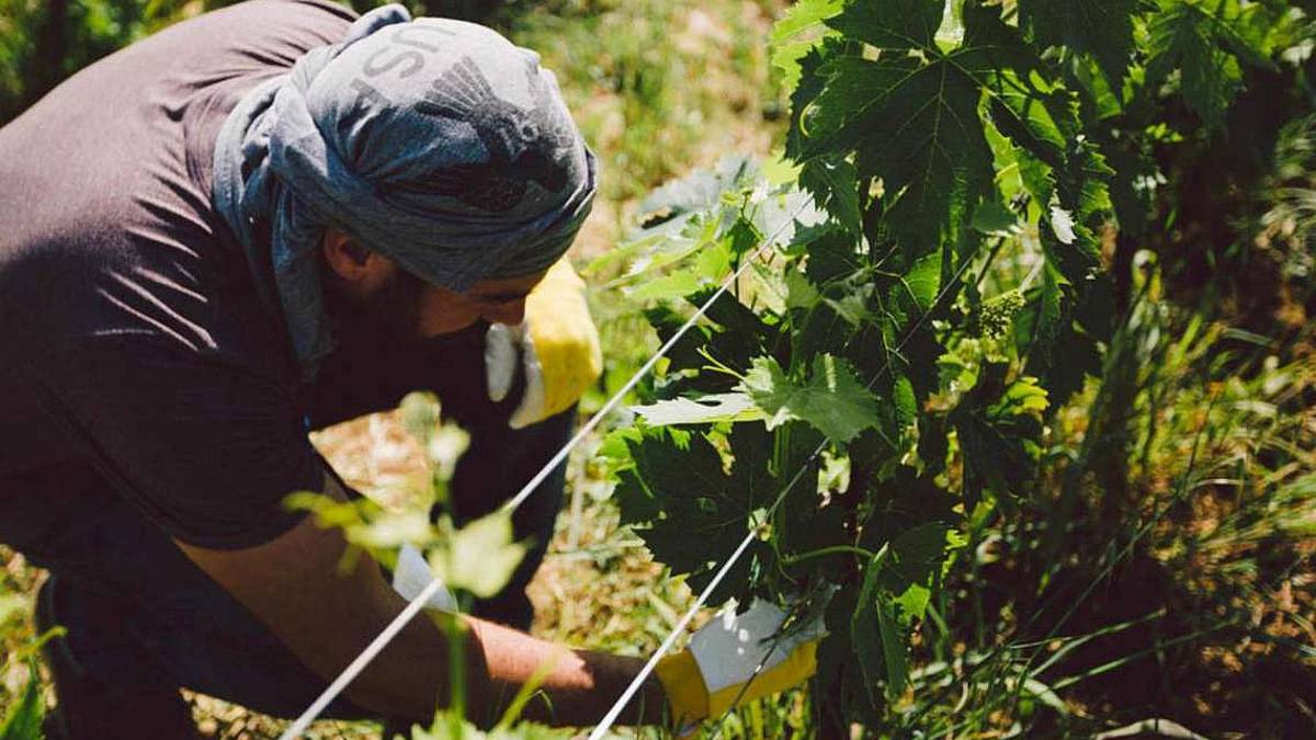 Emilia-Romagna, la Regione stringe un patto per la salute e la sicurezza sul lavoro