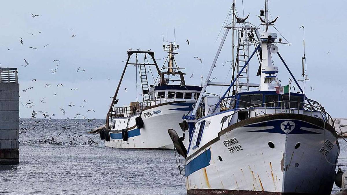 Pesca a strascico limitata dall'Europa: le marinerie italiane protestano