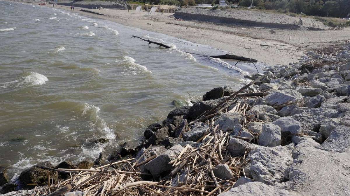 Ravenna, il Cestha: Animali morti e plastica in acqua, ma il mare si rigenera in poo tempo