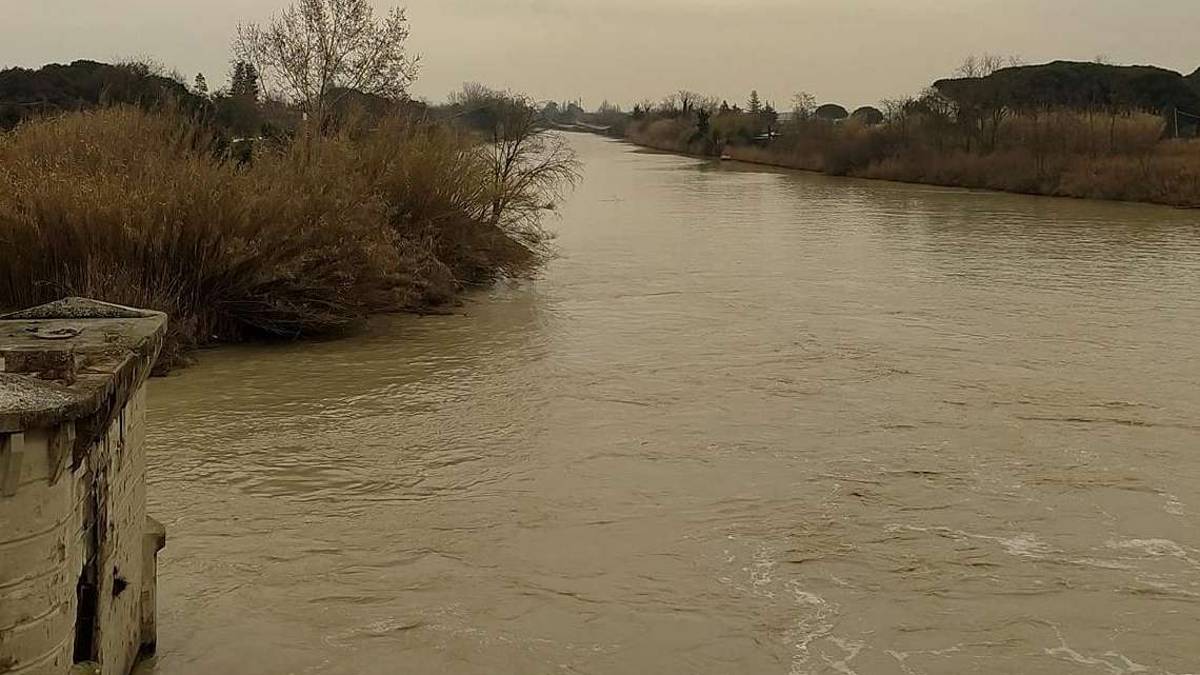 Ravenna, pioggia toccasana per i campi. Siccità più lontana