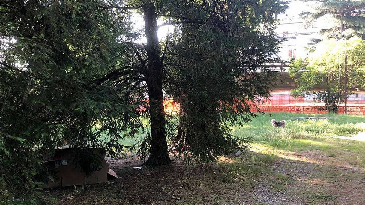 Ponte chiuso per lavori: a Cesena i senza tetto ora sono nel parco