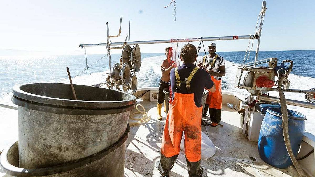 La flotta dei sette pescherecci che ‘pescano’ rifiuti in acqua