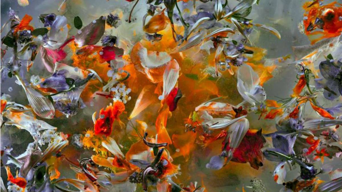Mandala, a Santarcangelo tutti i colori di Enrico De Luigi