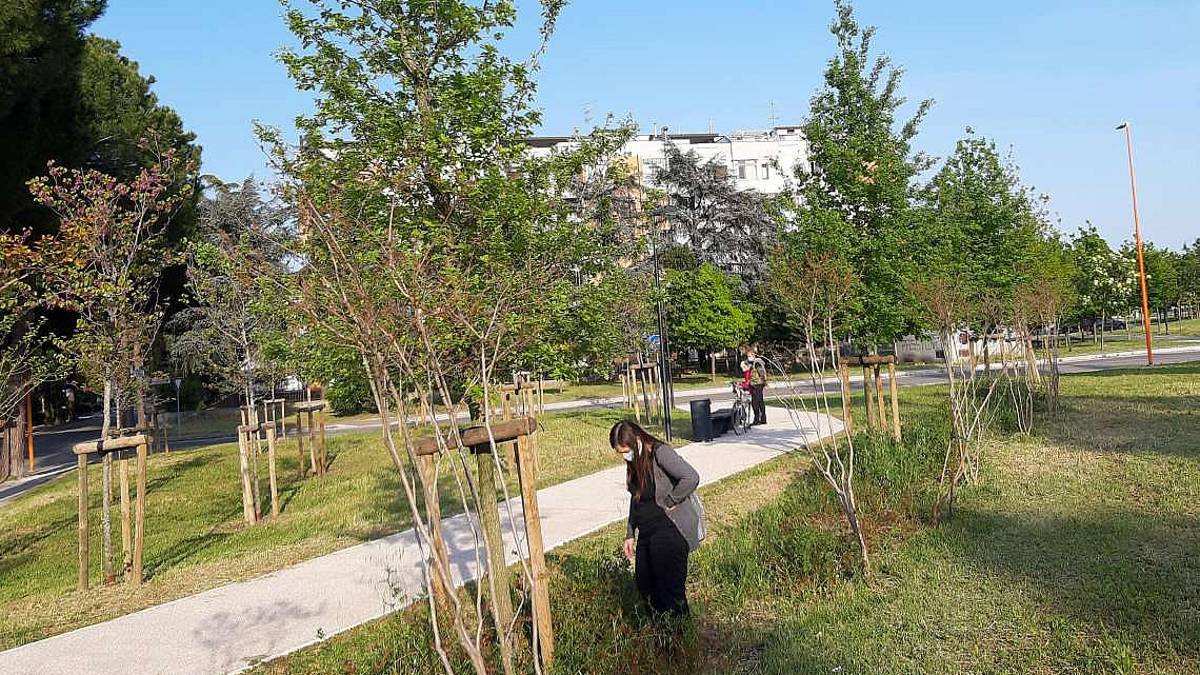 Cesena, riti voodoo al parco Novello: feticci sequestrati