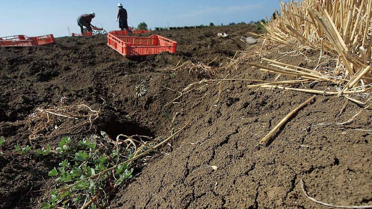 Siccità, a Ravenna a marzo caduto solo un millimetro di pioggia