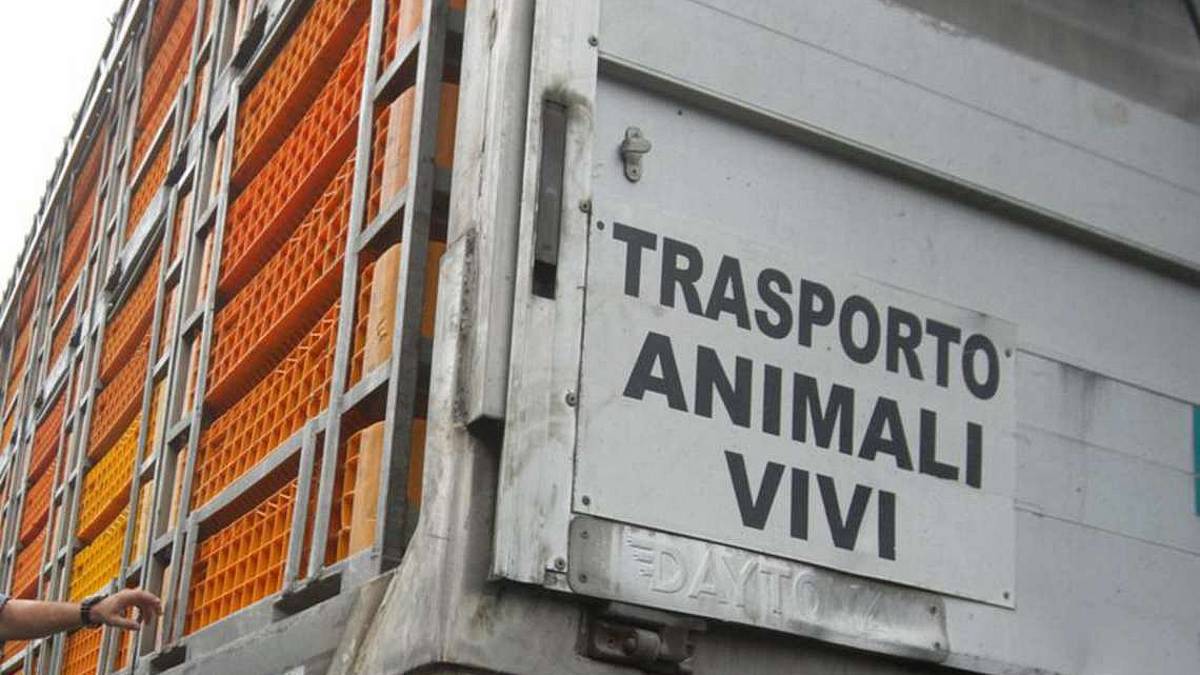 Per mangiare produciamo 17mila miliardi di CO2 all'anno