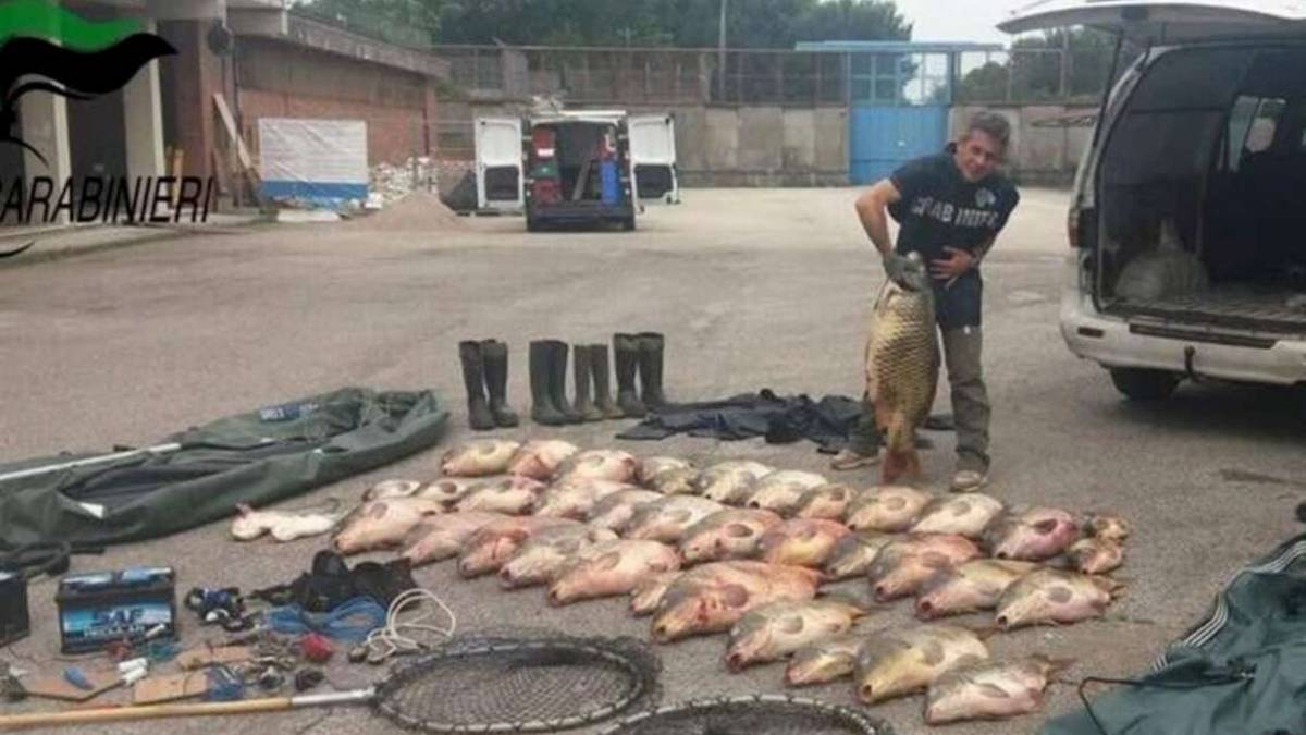 Ravenna, bracconieri sorpresi a cacciare con munizioni di piombo nelle valli
