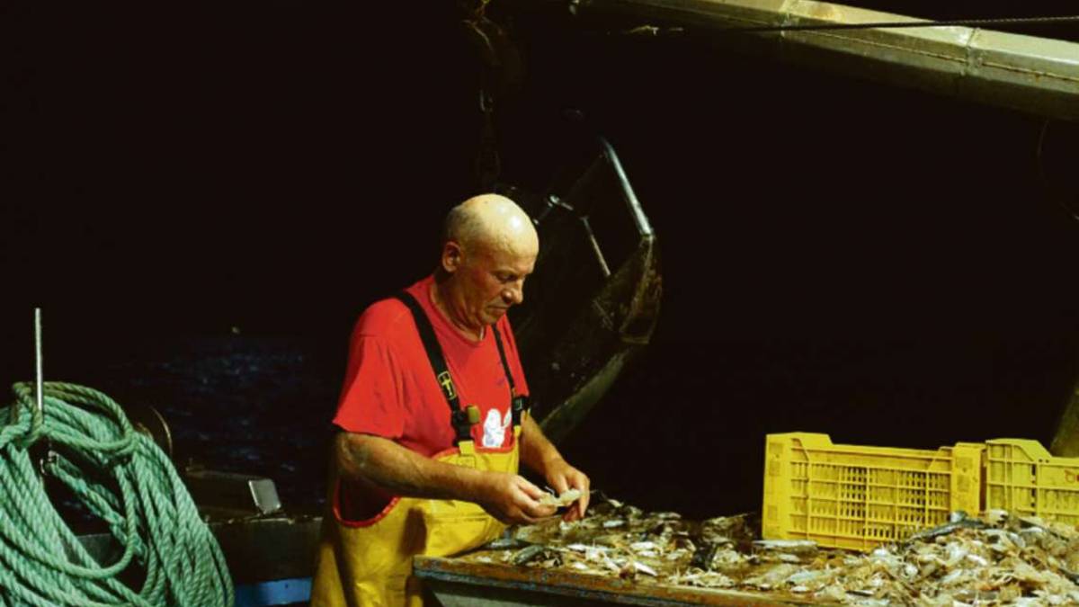 Cesenatico, per i pescatori aiuti per il gasolio fino a fine anno