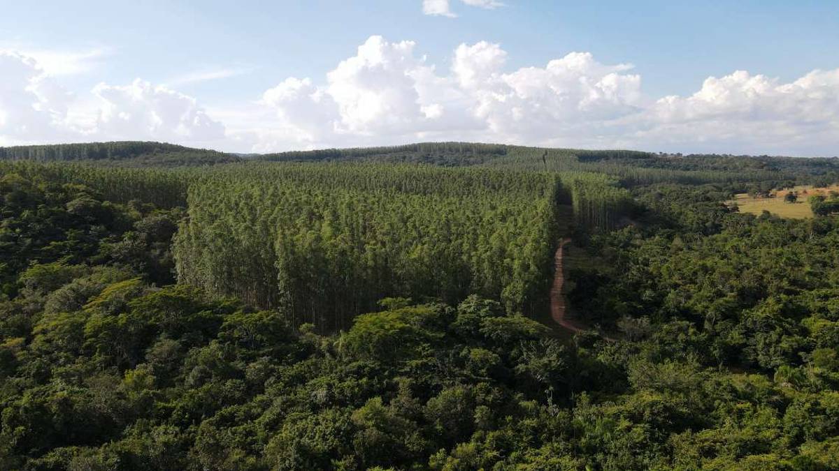 Il business della sostenibilità, l’impresa aiuta l’ambiente