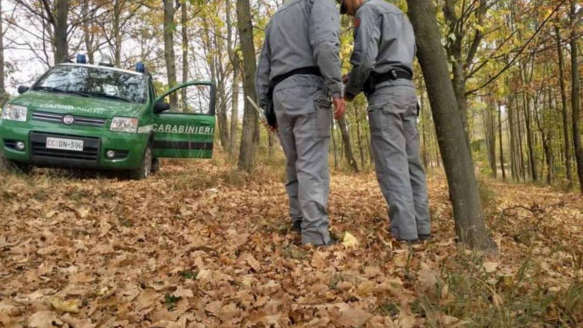 Imola, va a tartufi fuori orario: 516 euro di multa