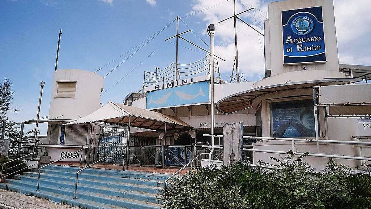 Rimini. Delfinario: scarichi irregolari, assolto l’ex dirigente