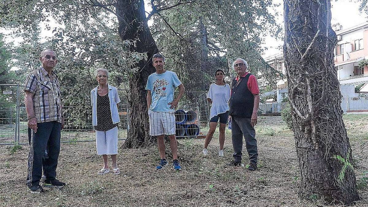Nuova ciclabile e taglio alberi. La protesta: Progetto inutile