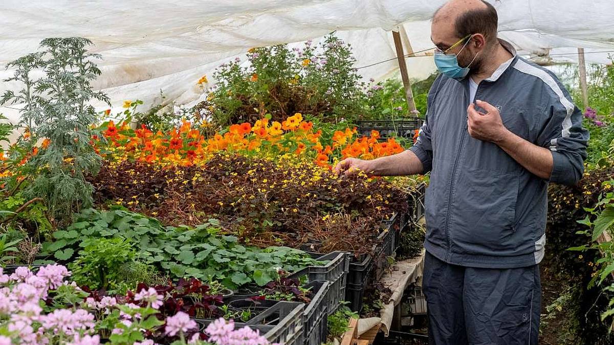 Erbe e fiori nel giardino degli chef