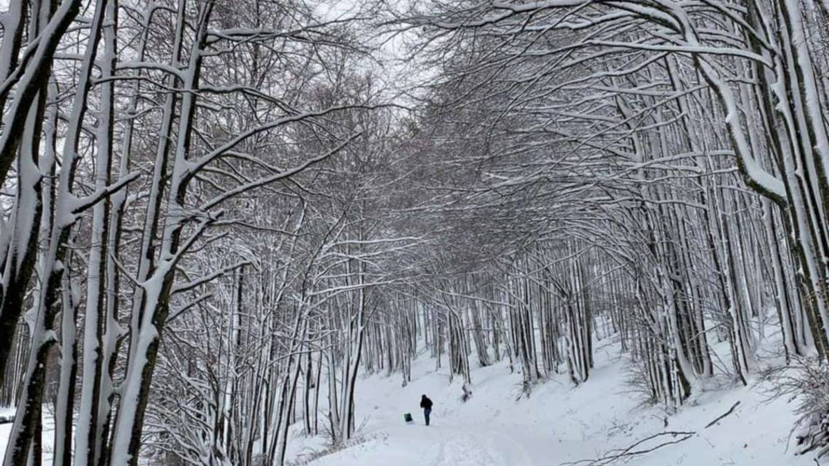 Forlì, coppia di Cesenatico si perde nella bufera di neve a Corniolo