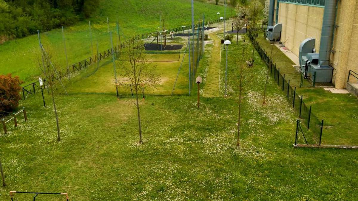 A Sogliano firme contro il Comune per l'area verde tagliata