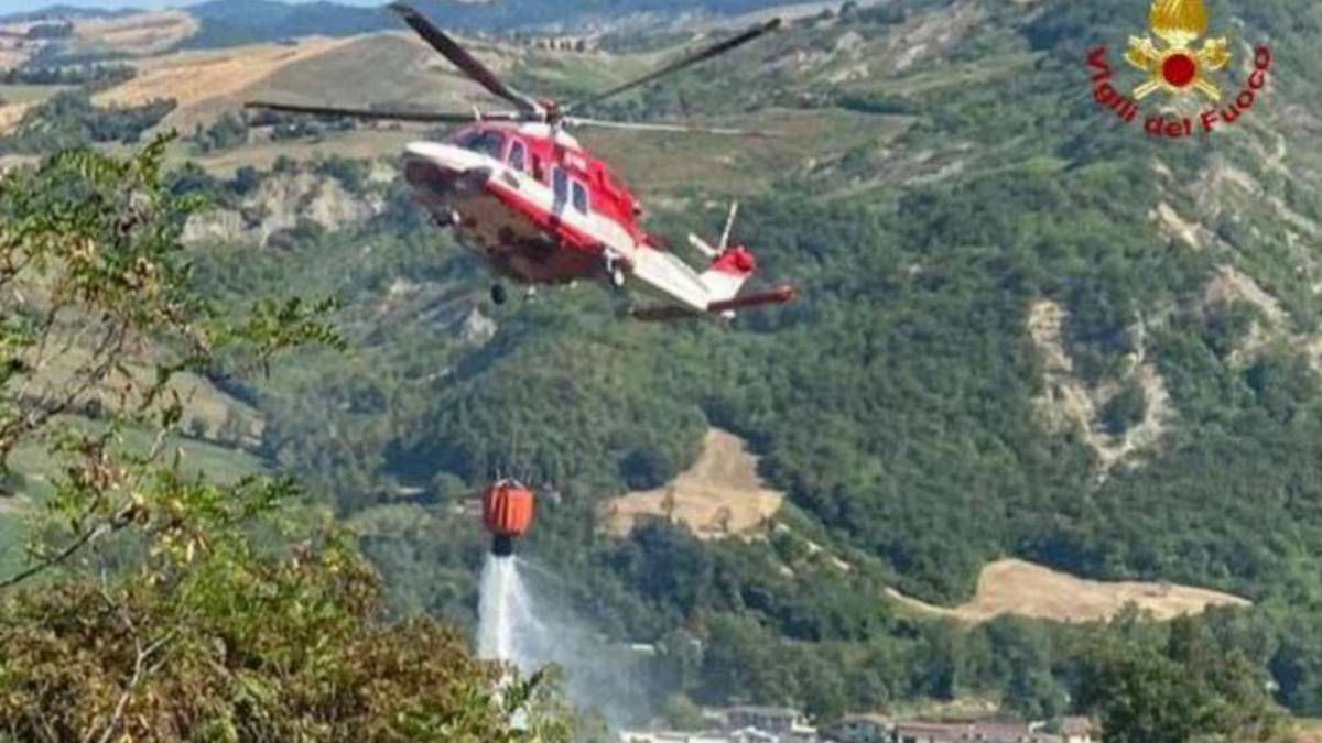 Forlì, un solo incendio boschivo in provincia