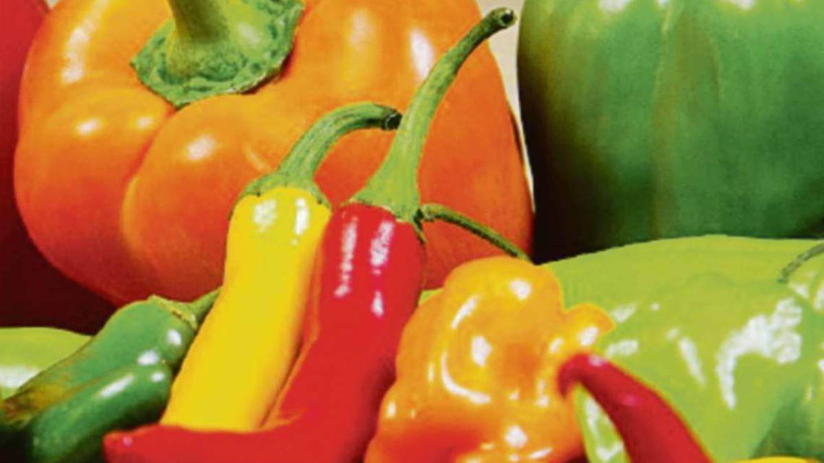 Il peperone è ricco di antiossidanti e ama essere baciato dal sole