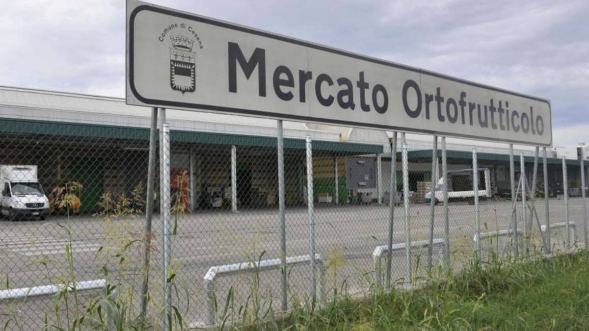 Cesena sperimenterà nuovi orari per il mercato ortofrutticolo