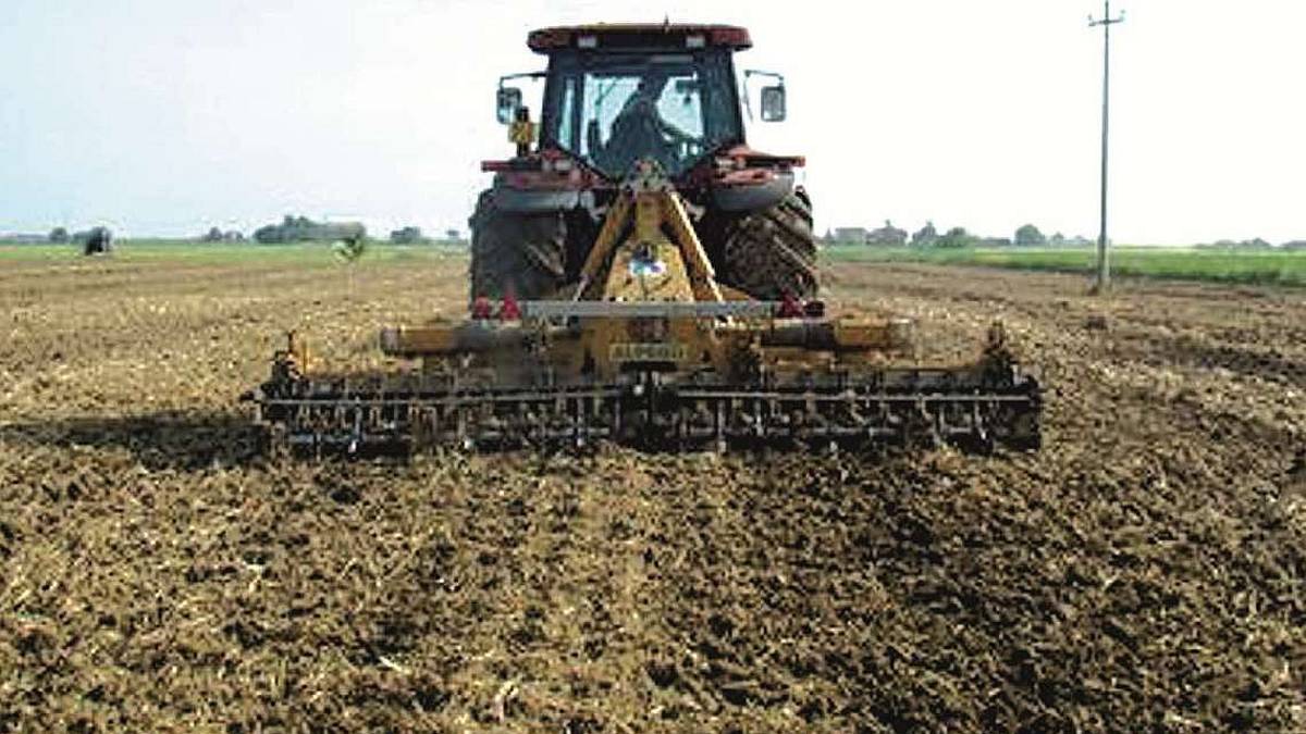 Cesena, l'agricoltura perde ancora aziende e produzioni