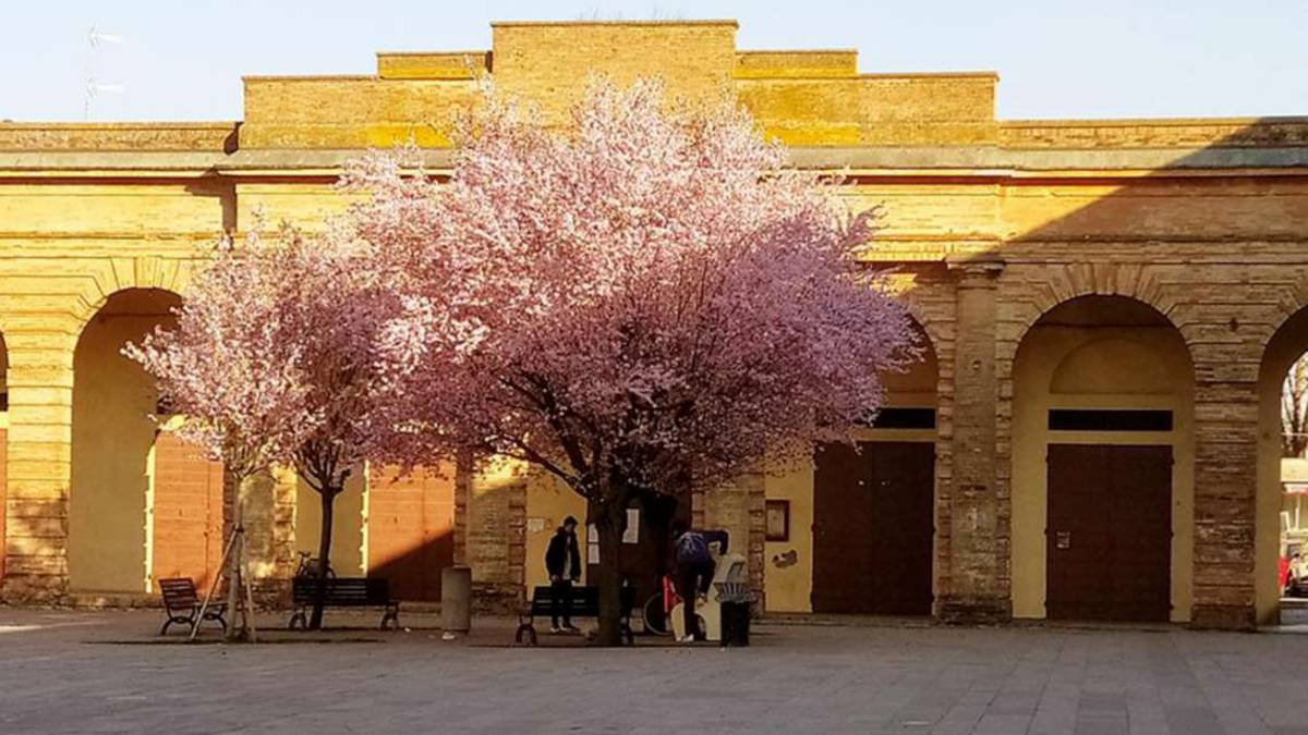 Forlimpopoli, premiazione del contest “L'arte si fa spazio