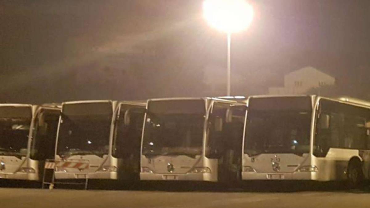 Cesena, forzano l'apertura dei bus in sosta e ci passano le serate: minori denunciati a Calisese, Budrio e Sogliano