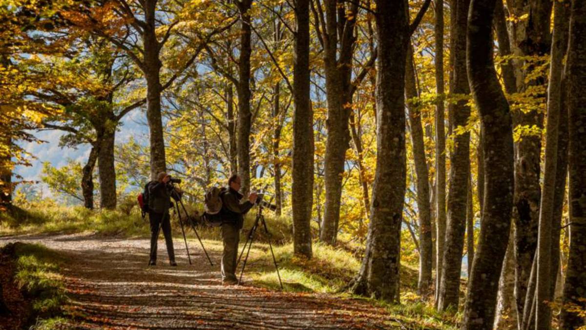 Consiglio Parco nazionale, indicate le 2 donne dopo più di un anno