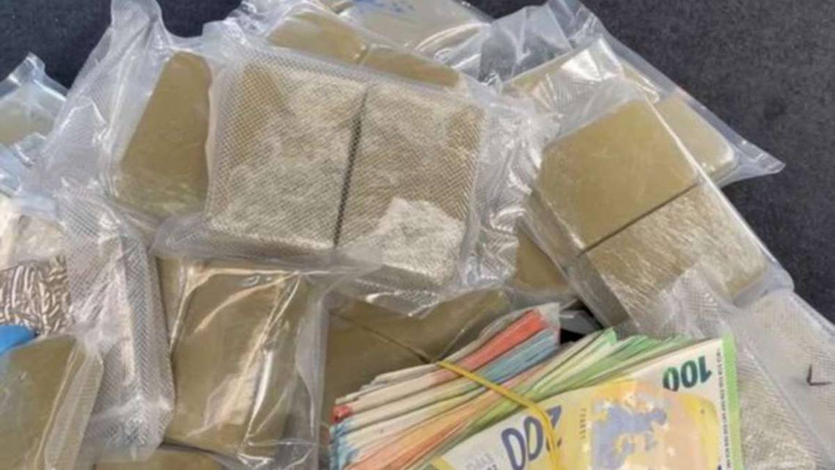 Assolto per 40 chili di hashish trovato a Sogliano: era per lavoro