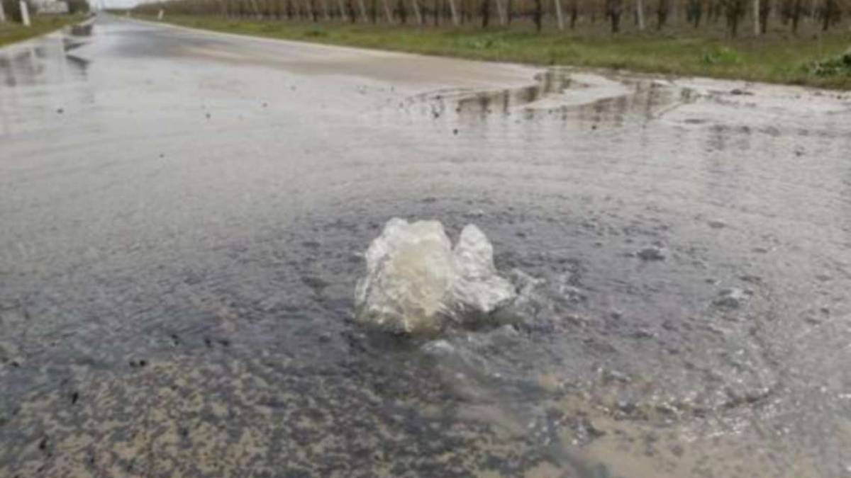 Ravenna, in via Canaletta l'acqua sgorga dall'asfalto