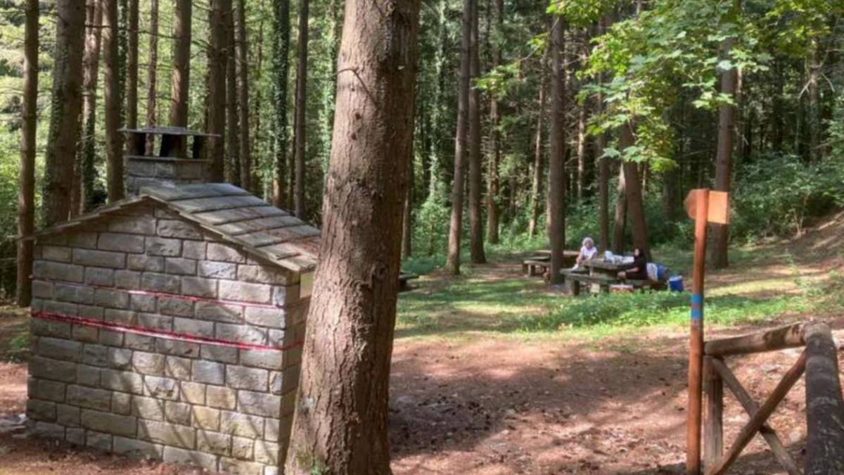 Forlì. Parco Foreste Casentinesi, superate le presenze del 2019