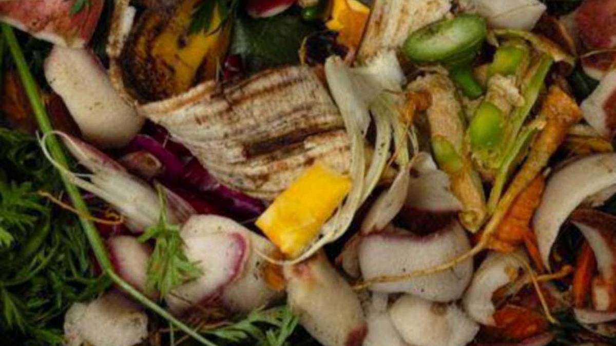 Emilia-Romagna regione virtuosa: a tavola non si butta via niente