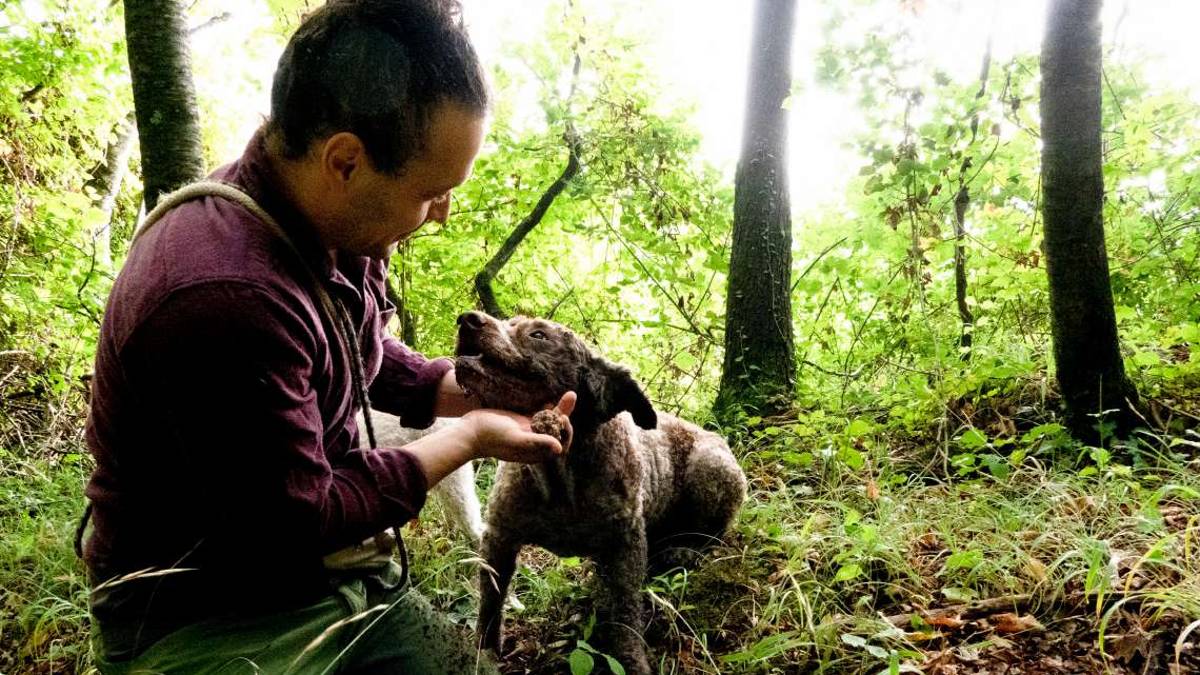 Al Vecchio Convento i sapori e i profumi del bosco in tavola