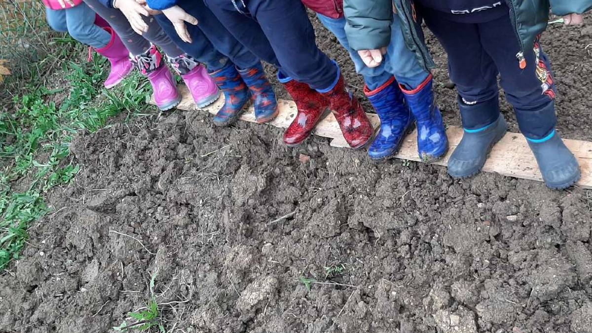Imola, la Fattoria Romagnola insegna a fare l'orto nelle scuole