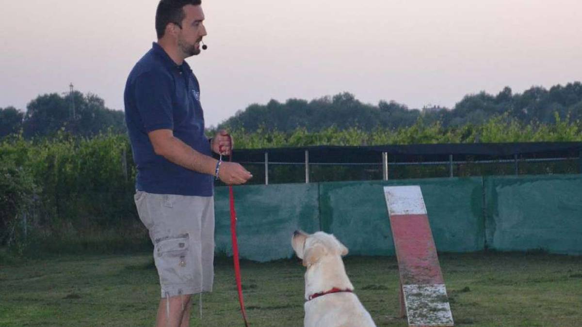 Forlì. Educazione cinofila, un lavoro che non conosce crisi