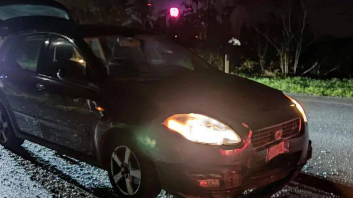 Ravenna, daini causano incidente. Cinque feriti tra cui una bimba