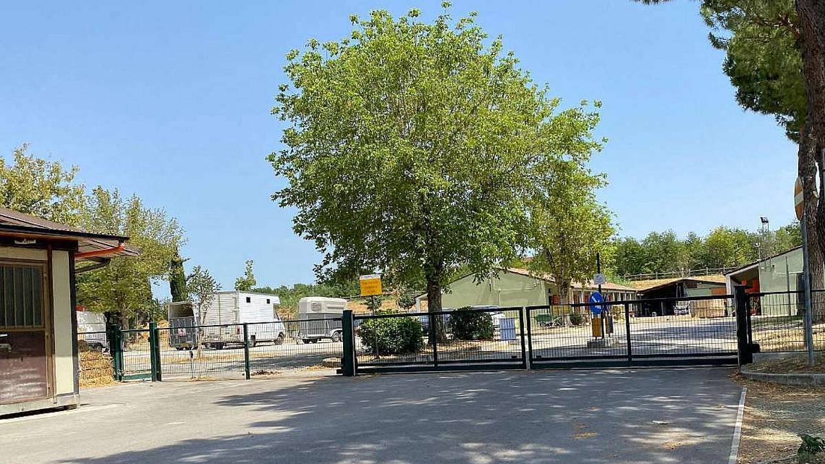 Ferito per la testata di un cavallo all'ippodromo di Cesena