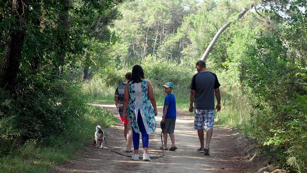 Ravenna prepara polmone verde: 112mila piante per abbattere la CO2