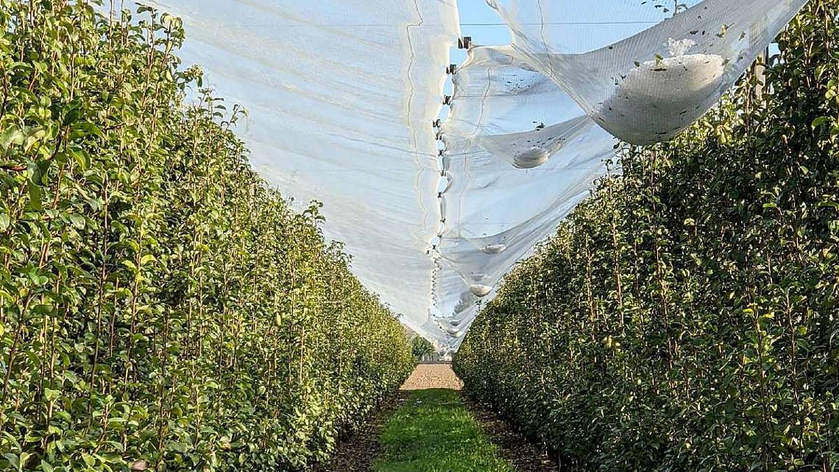 Ravenna, in poche ore caduta più pioggia che in tutta l'estate