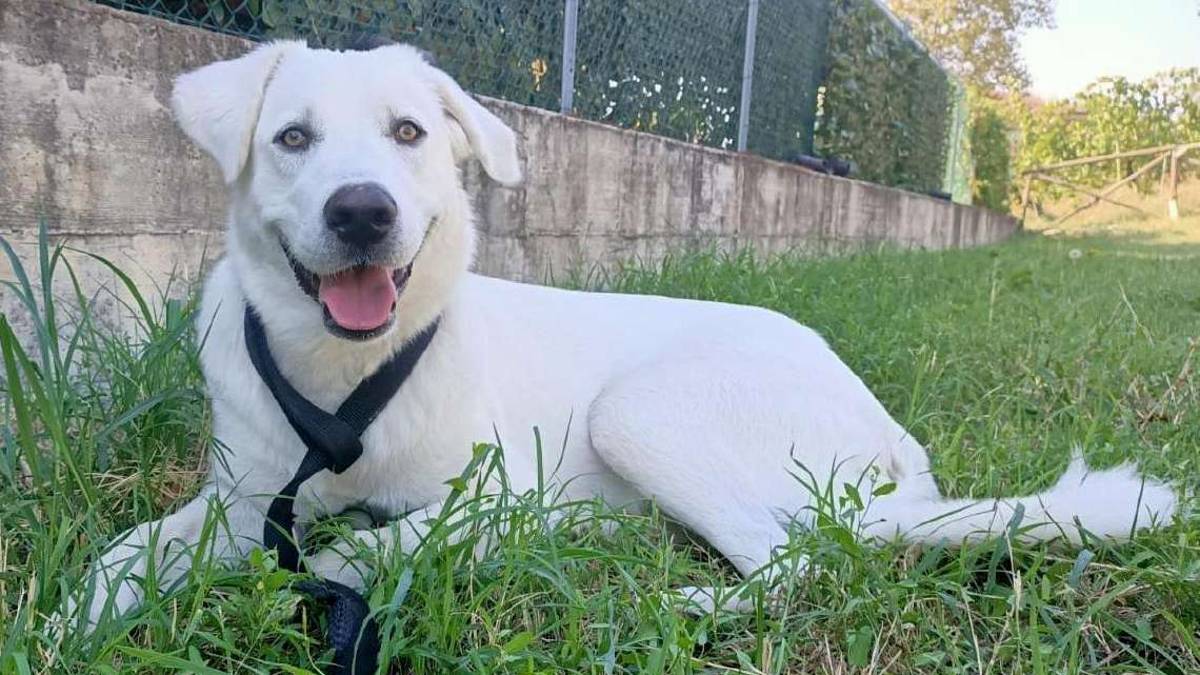 Jack e Layka meritano un futuro di affetto