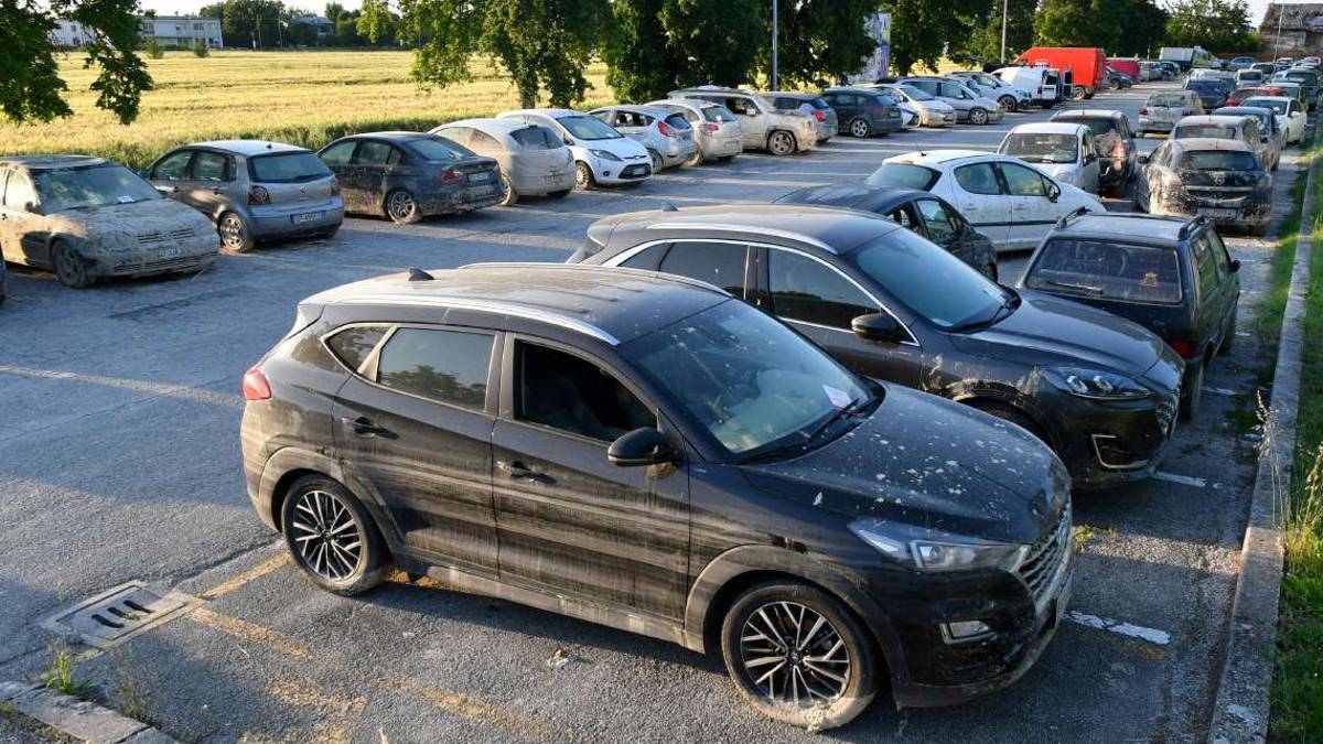 Forlì, il cimitero delle auto alluvionate: in centinaia in via Punta di Ferro - Gallery