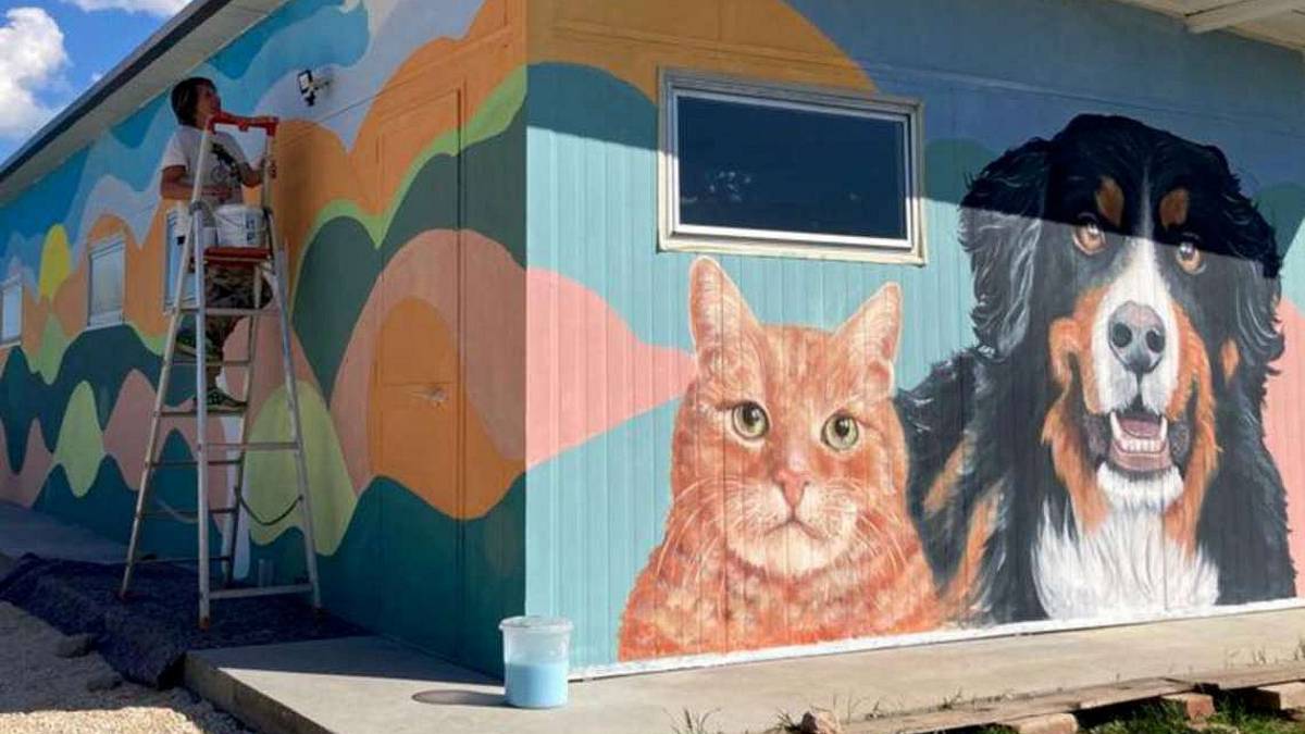 Faenza, ecco il Rifugio del Cane contro abbandoni e maltrattamenti