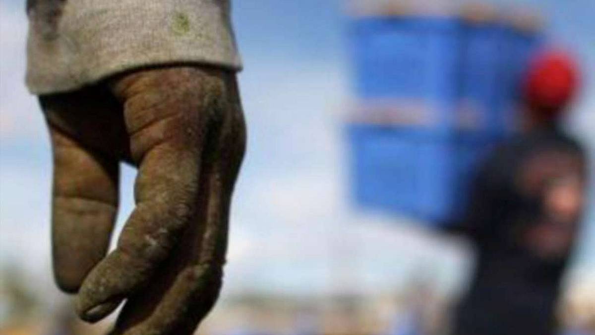 Il caporalato a Cesena vantava crediti per 2 milioni dalle aziende