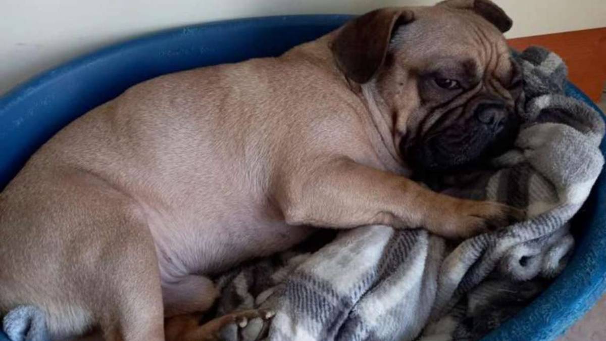 Bartolomeo costretto a lasciare la sua casa