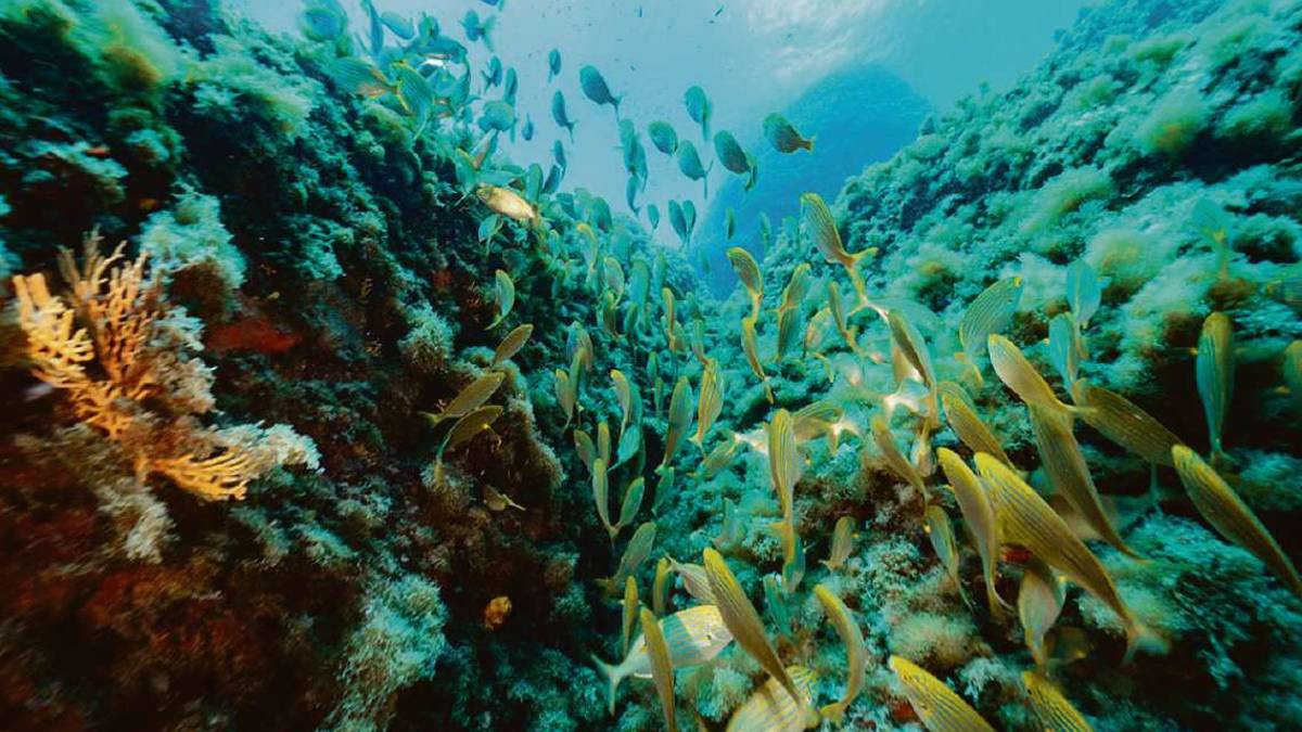 La Blue Economy cresce, il valore sfiora i 48 miliardi