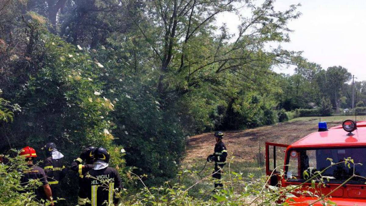 Savignano, il sindaco - ciclista sventa un incendio