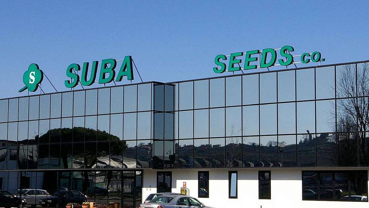 Suba Seeds: pace fatta dopo il caso tamponi a Longiano