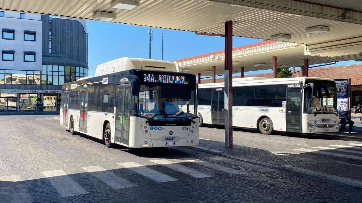 Cesena, autista del bus aggredito: «Mi ha preso a pugni e a calci»