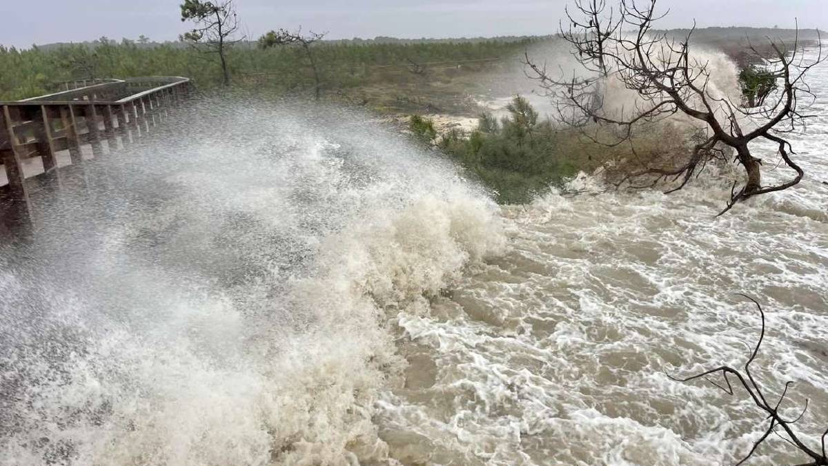 Ravenna, il mare nella Bassona. Pineta a rischio