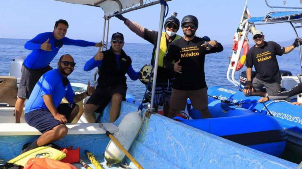 Lucio, il riccionese che salva le balene in Messico