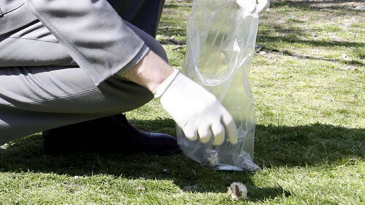 Polpette avvelenate ai cani: giro di vite a San Marino