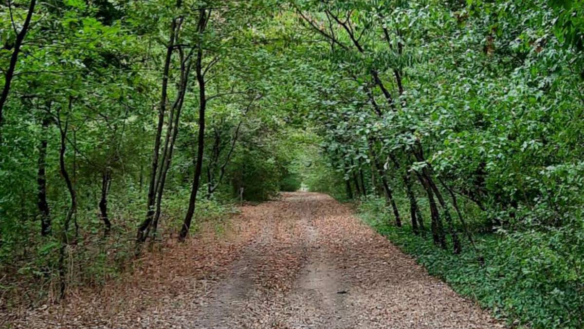 Giornate d'autunno del Fai in Romagna